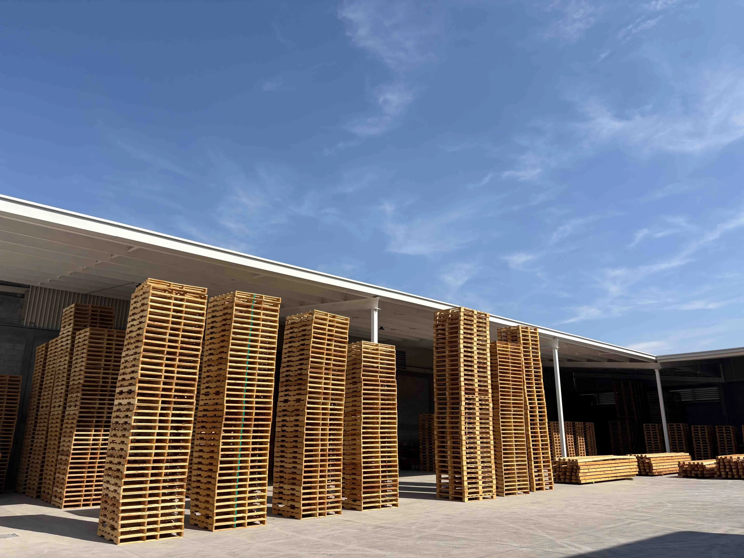 Exportación